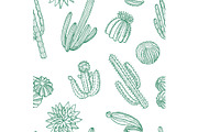 Vector hand drawn wild cacti plants
