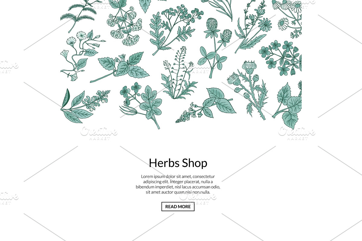 Vector hand drawn medical herbs in Graphics - product preview 8