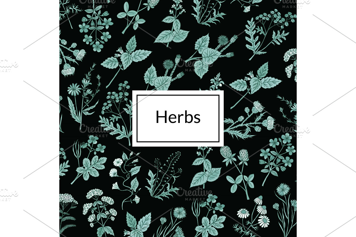 Vector hand drawn medical herbs in Graphics - product preview 8