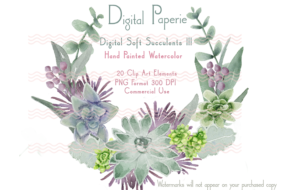 Digital Watercolor Succulents III