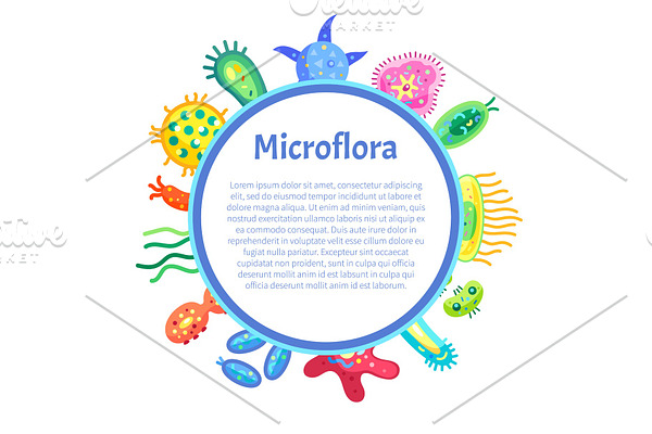 Microflora Details in Frame with