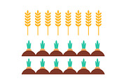 Wheat Field and Carrots Icons Vector