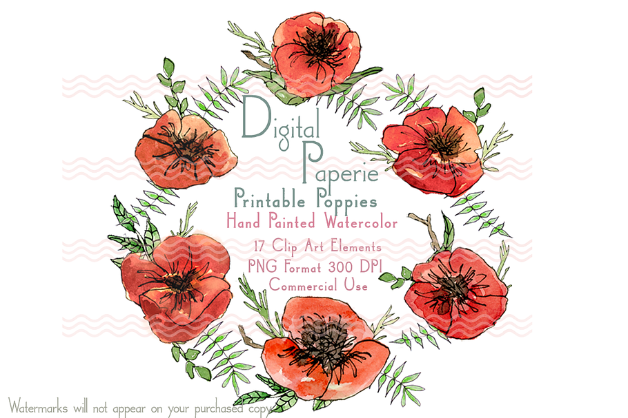 Digital Watercolor Poppies