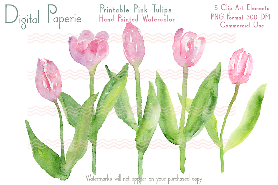 Digital Pink Watercolor Tulips