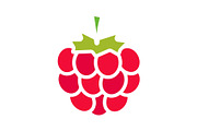 Raspberry glyph color icon