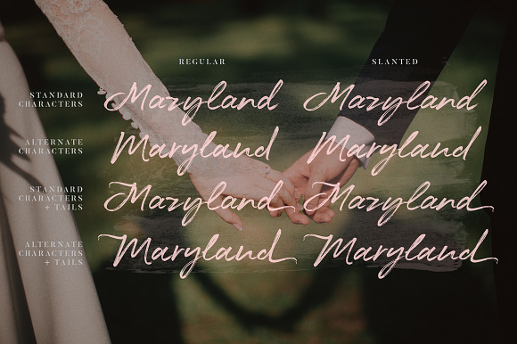 Maryland Wedding Font in Wedding Fonts - product preview 5