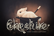 Cheshire. Magic script font.