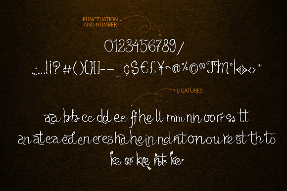 Cheshire. Magic script font. in Script Fonts - product preview 5