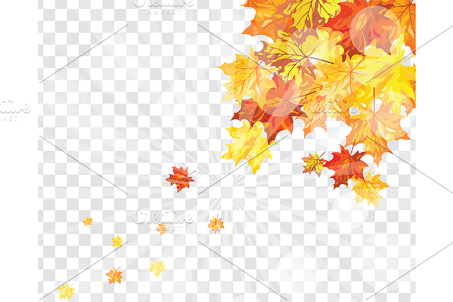 Maple leaves on transparency grid in Illustrations - product preview 8