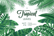 Detailed tropical leaves