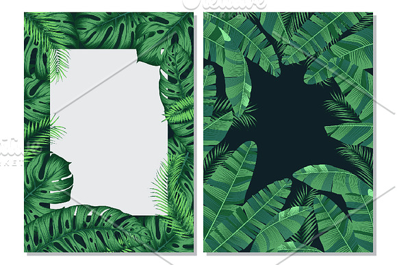 Detailed tropical leaves in Illustrations - product preview 8