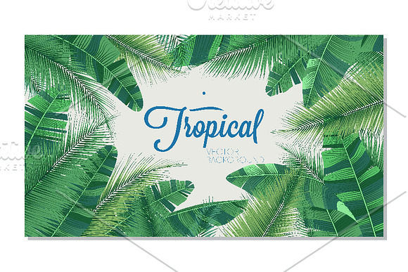 Detailed tropical leaves in Illustrations - product preview 9