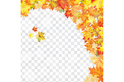 Maple leaves on transparency grid