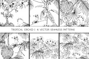 Tropical Orchid Seamless Patterns