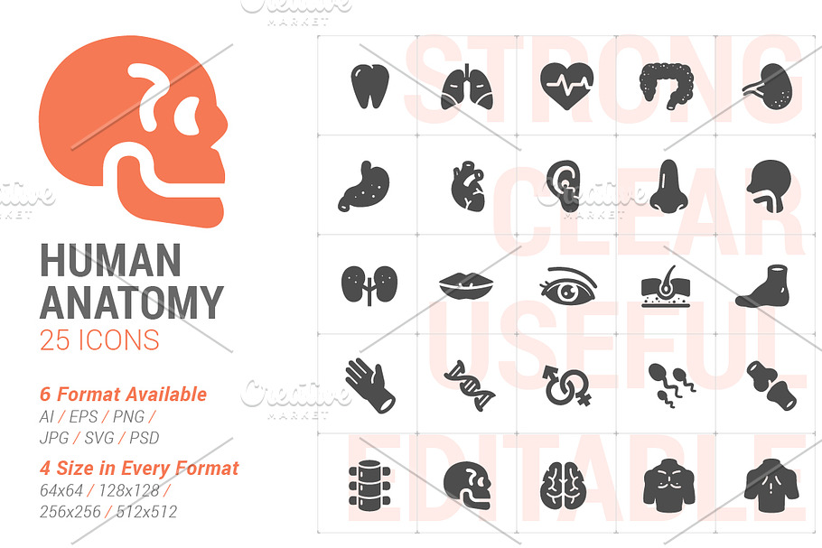 Human Anatomy Filled Icon in Icons - product preview 8