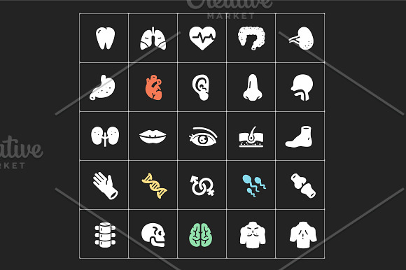 Human Anatomy Filled Icon in Icons - product preview 2
