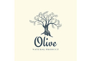 Olive tree vector logo design