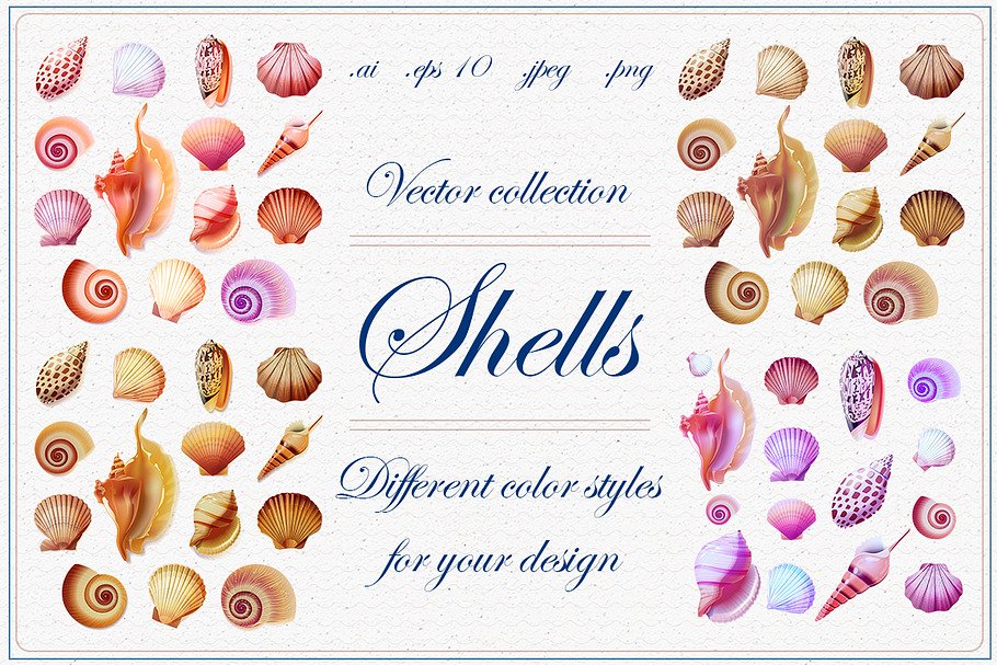 Shells vector collection in Objects - product preview 8