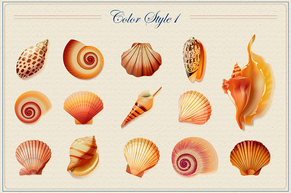 Shells vector collection in Objects - product preview 1