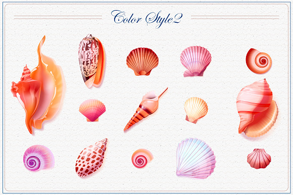 Shells vector collection in Objects - product preview 2