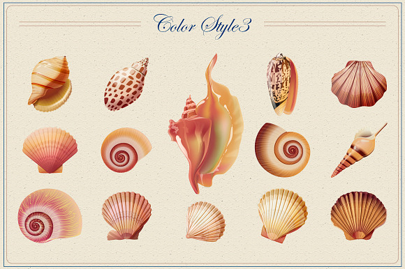 Shells vector collection in Objects - product preview 3