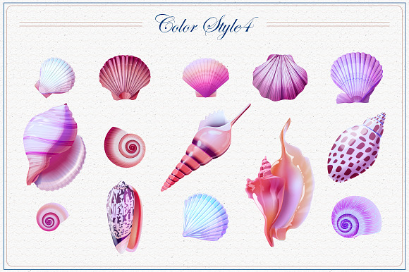 Shells vector collection in Objects - product preview 4