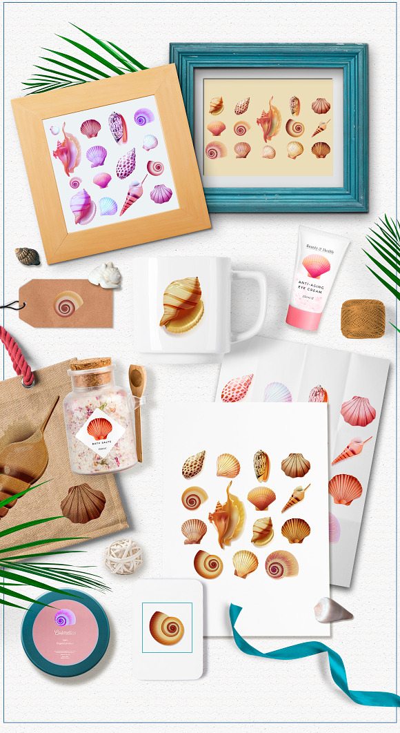 Shells vector collection in Objects - product preview 5
