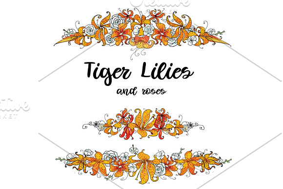 Tiger Lilies & Roses - clip-art in Illustrations - product preview 2