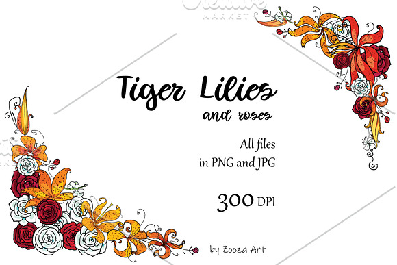 Tiger Lilies & Roses - clip-art in Illustrations - product preview 3