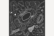 Bacteria hand-drawn image