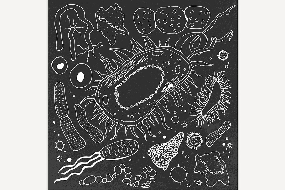 Bacteria hand-drawn image in Illustrations - product preview 8