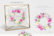 Charlotte. Watercolor collection