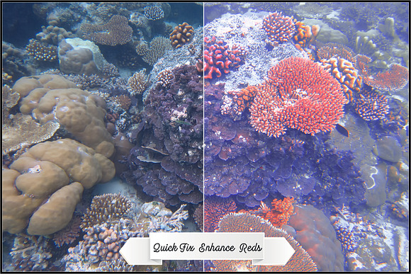 Underwater Fix Profiles for LR & ACR in Photoshop Plugins - product preview 10