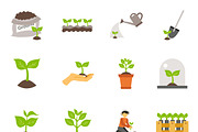 Seedling process flat icons set