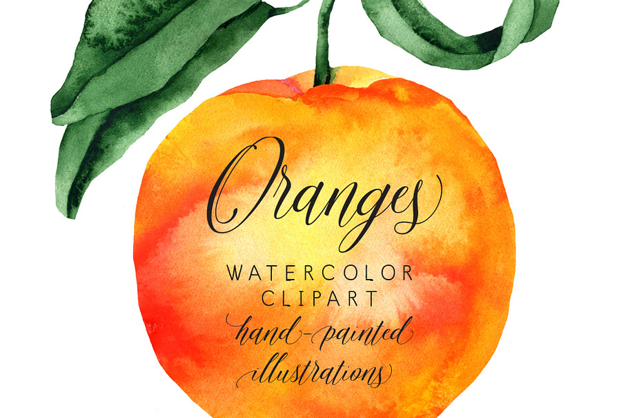 Oranges watercolor clipart