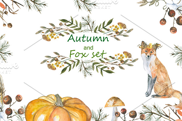 Autumn and foxes animals set