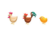 Rooster, hen and chicken, funny