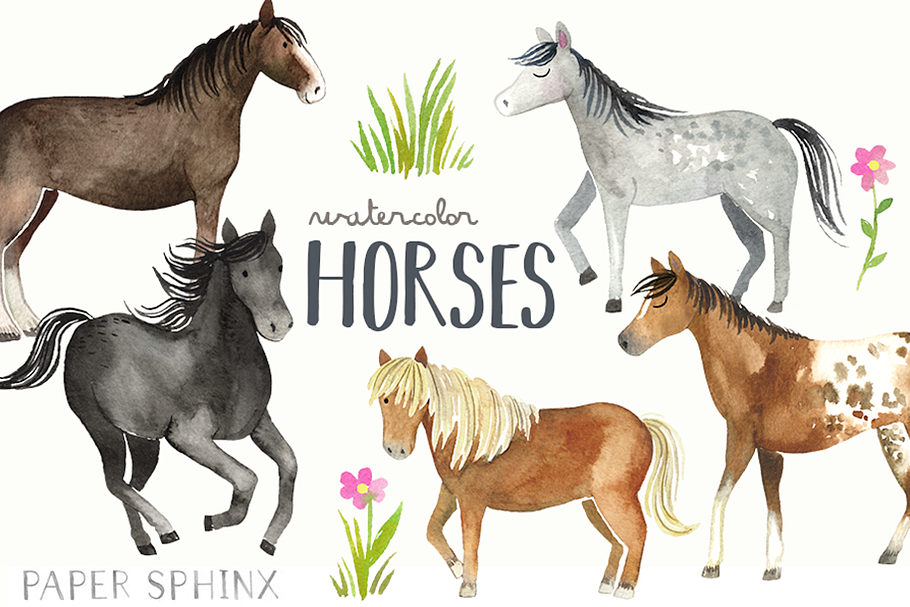 Watercolor Horses Clipart Pack