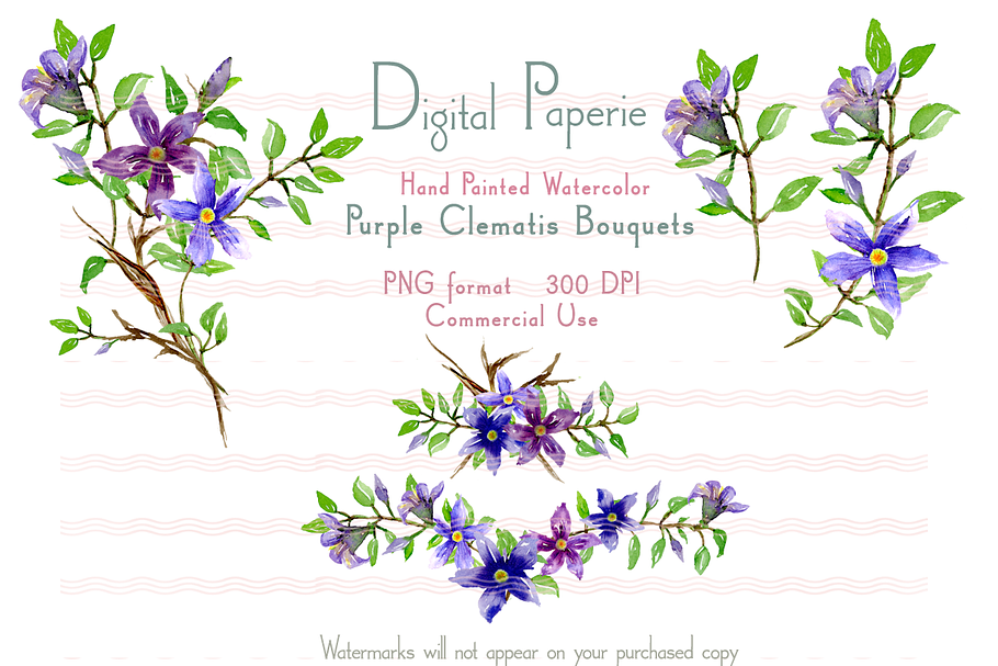 Watercolor Purple Clematis Bouquets in Illustrations - product preview 8