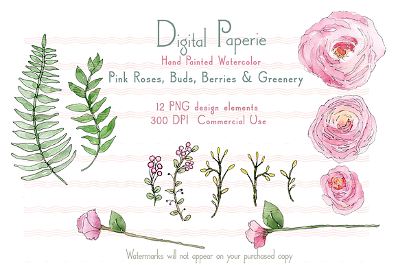 Pink Roses Buds Greenery Watercolor in Illustrations - product preview 1