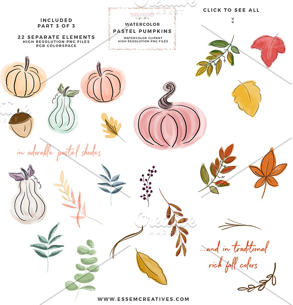 Fall Floral Pumpkin Wreath Clipart in Illustrations - product preview 5
