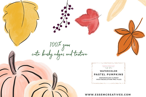 Fall Floral Pumpkin Wreath Clipart in Illustrations - product preview 6
