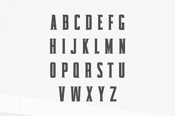 Karlton Slab Serif Font Family in Slab Serif Fonts - product preview 1