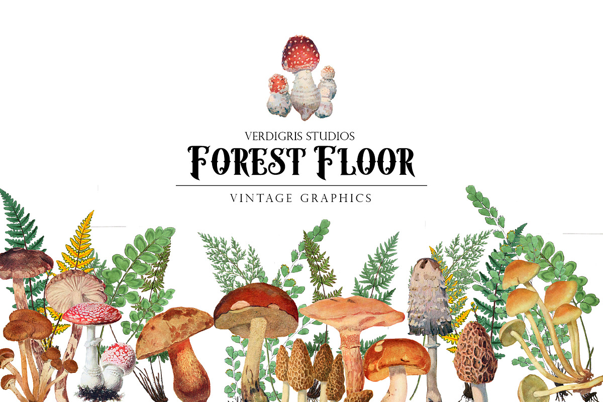 Watercolor Mushroom Clipart in Illustrations - product preview 8