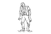 Zombie Walking Front Drawing