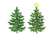 Christmas spruce fir trees with