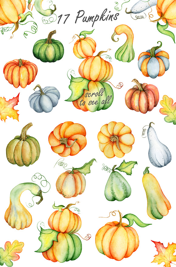 Happy Thanksgiving Pumpkins clipart in Illustrations - product preview 3