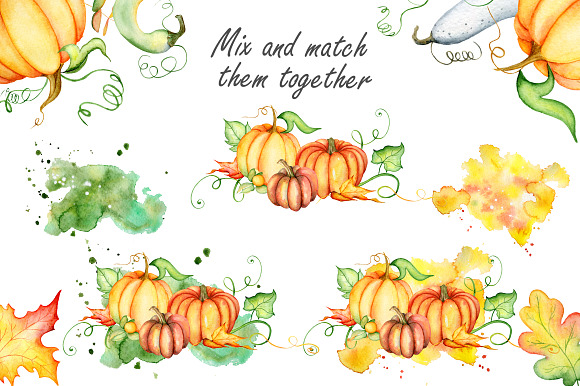 Happy Thanksgiving Pumpkins clipart in Illustrations - product preview 7