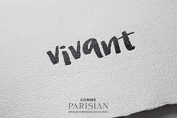 Vivant hand brushed font in Script Fonts - product preview 2