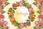 Gortenzia PNG watercolor flower set